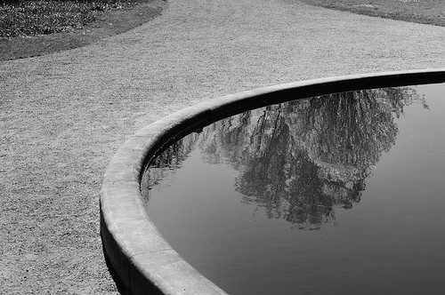  giardino botanico
