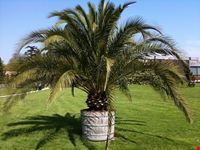  giardino botanico