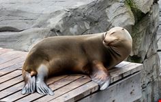  erlebnis-zoo