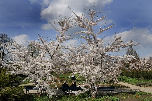  giardini reali di herrenhausen