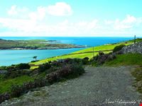  baia di clifden