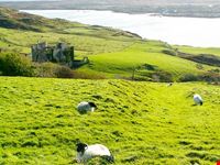  baia di clifden