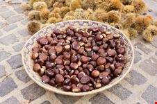 Castagne