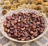 Castagne Castagne