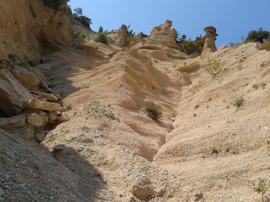 Lame Rosse