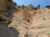 Lame Rosse