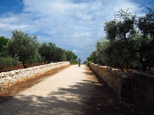  territorio