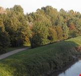 Bosco di Mestre, scorcio dell'Osellino