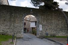 Mura