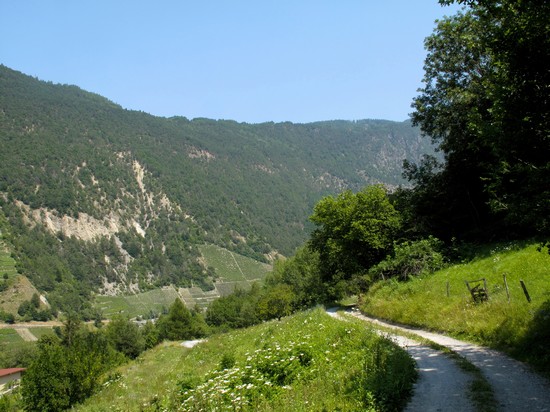Via Francigena