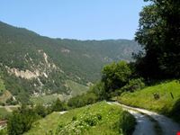 Via Francigena