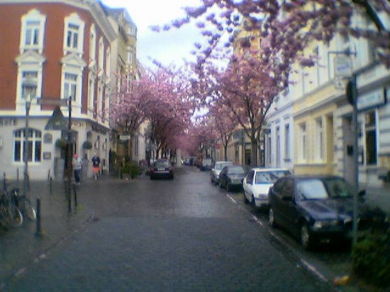 Heerstrasse