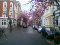bonn heerstrasse