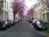 bonn heerstrasse
