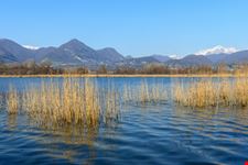 Lago
