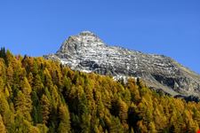 valle di ayas ayas
