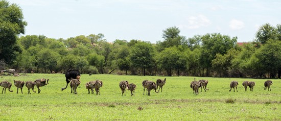 Gaborone