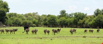 Gaborone