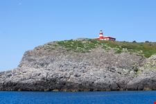 Isola di Giannutri