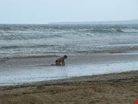  spiaggia di balestrate