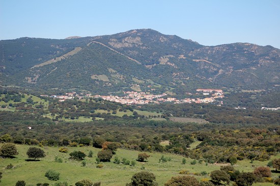 padru