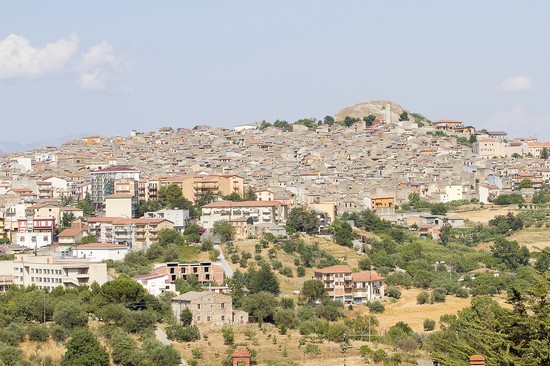 prizzi