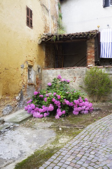 Montemagno 2