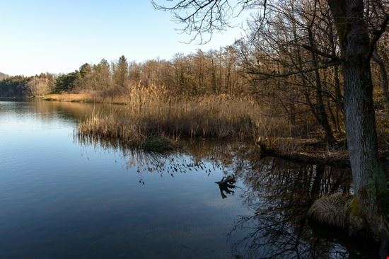  Montorfano  