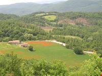 lungo i sentieri di Montieri