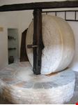  museo della mezzadria senese
