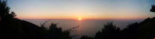  populonia