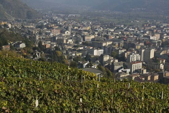 Panorama dei vigneti