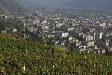 Panorama dei vigneti