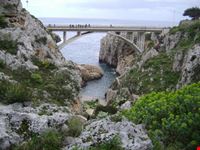 Ponte Ciolo