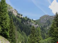 marmolada