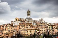  siena