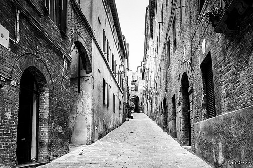  siena