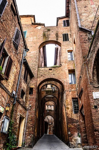  siena