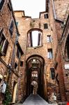  siena