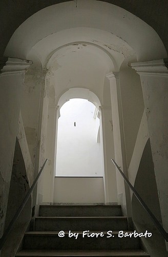  villa guariglia