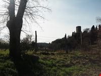  torre medioevale di galatrona
