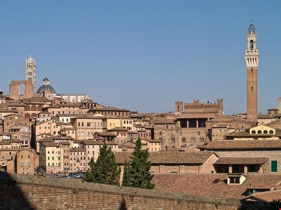  Bucine Myrabella - CC BY-SA 3.0 Myrabella