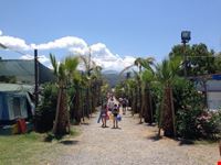 viale principale camping praia mare