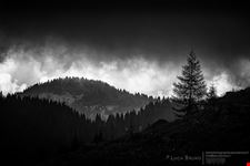  asiago