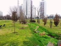 Parco dei Fontanili