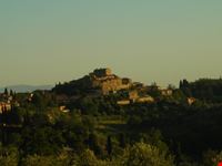montisi