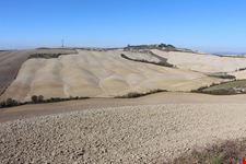 crete senesi