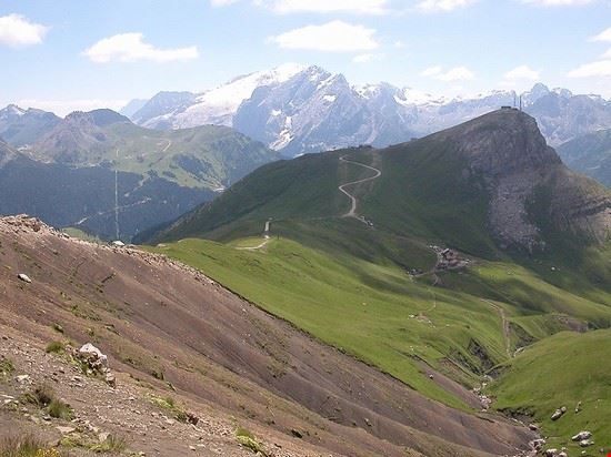 Col Rodella Campitello di Fassa Godromil - https://it.wikipedia.org Godromil