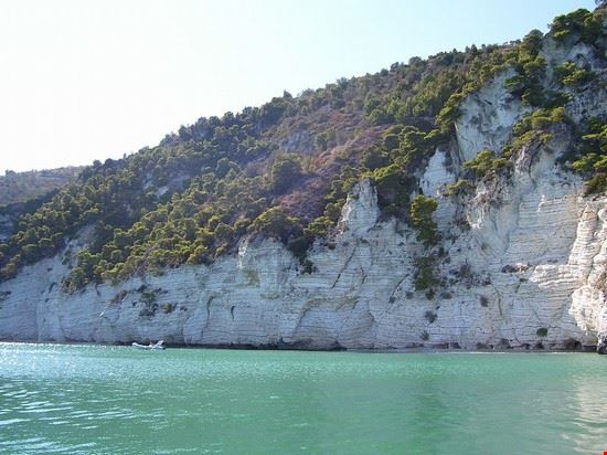Baia dei Campi Mattinata Leonex84 - https://it.wikipedia.org Leonex84