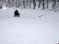 Slittino a Obereggen
